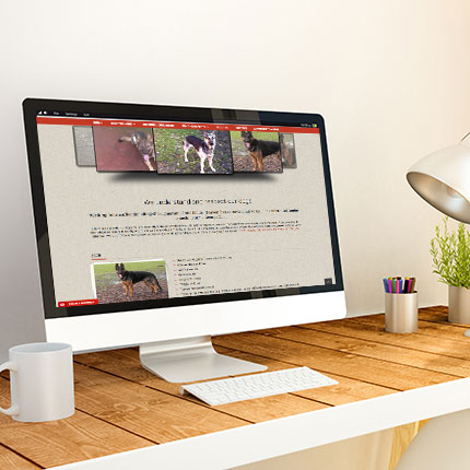 webstudiolab-portfolio-k9consulting-dogs